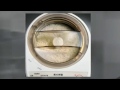 日本胚芽米机 japan embryo rice machine by twinbird malaysia