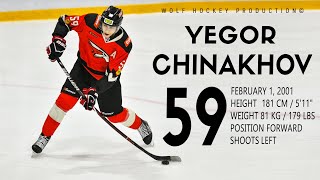 The Best Of Yegor Chinakhov | Columbus Blue Jackets Prospect | Hockey Highlights | HD