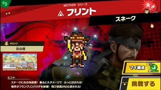 スマブラSP 挑戦！ホープ級　フリント