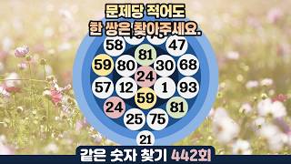 같은숫자찾기 442회 - 문제 당 적어도 한 쌍은 찾아주세요. #같은숫자찾기 #퀴즈 #치매예방퀴즈  #두뇌운동  #number search #quiz #脳トレ #数字探し