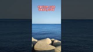 경북영덕 겨울바다, 강구항 | 20250102