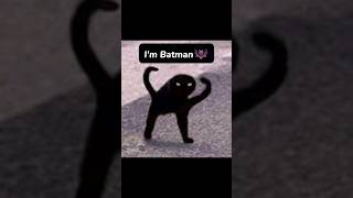 [I'm Batman 🦇] #cat  #edit #meme #capcut