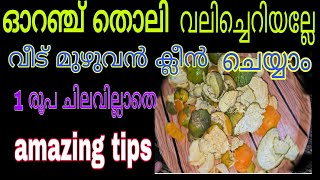 വലിച്ചെറിയുന്ന ഈ സാധനം മതി വീട് മുഴുവൻ ക്ലീൻ ചെയ്യാം