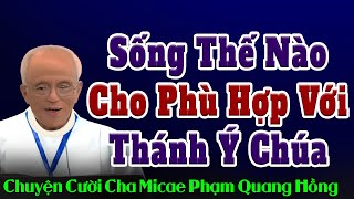 Sống Thế Nào Cho Phù Hợp Với Thánh Ý Chúa - Bài giảng Tỉnh Thức của Cha Phạm Quang Hồng