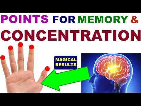 Acupressure Points For Memory And Concentration Sujok Therapy For