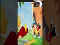 tom & jerry | Tom and jerry | jerry cat | tom | jerry | tom and jerry classic | safwan game zone