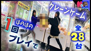 クレーンゲーム大量？！28台全1回やってみた！ほのぼの編（エブリデイとってき屋東京本店）【のえのん番組】