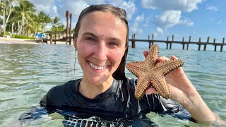 🤿 Snorkeling at Secrets Aura Cozumel Mexico May 2024 🐠