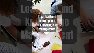 Organizational Learning and Knowledge Management for Non-Profit Success