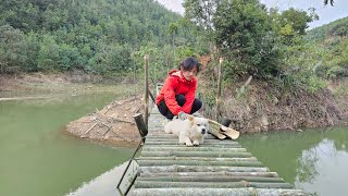 Build a bamboo bridge off grid/Ep1