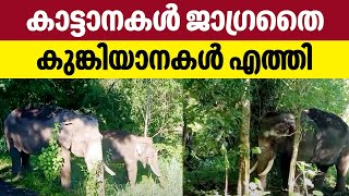 കാട്ടാനകൾ ജാഗ്രതൈ കുങ്കിയാനകൾ എത്തി | Kumki elephants