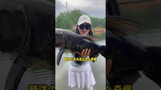 美女在野池釣上巨物！ #shorts #釣魚 #巨物