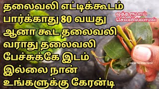 80 வயதான கூட தலைவலி வராது 100% உண்மை #kitchentips  #zainulrecipestamil  @zainulrecipestamil143