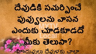 దేవుడికి సమర్పించే పువ్వులను వాసన ఎందుకు చూడకూడదో మీకు తెలుసా/new,Flowers#astrology#MYTVLocal#viral