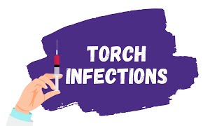 TORCH Infections EXPLAINED | Toxoplasmosis, CMV, Rubella, HSV-2