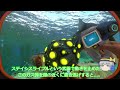 【subnautica】地底の主による異星調査記録 part1 遭難編【ゆっくり実況】