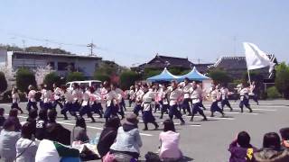 山口大学よさこいやっさん!! 舞龍祭 とんがり会場 桜翔