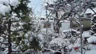 Ｈ．２２年４月１７日春の大雪