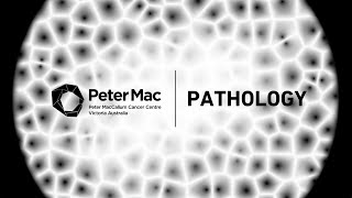 Behind the scenes in Peter Mac Pathology - International Pathology Day 2022