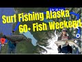 Sharing a 60+ Fish Weekend surf fishing Seward Alaska with Dozens of People.