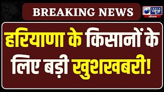 Haryana में किसानों को बड़ी राहत, निर्धारित समय से 13दिन पहले शुरू होगी सरसों की सरकारी खरीद |