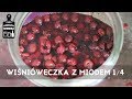 🍒 Jak zrobić...? #111 Wiśniówka z miodem 1/4 | Piwniczka Chomika