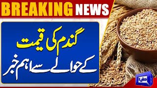 Important News Regarding Wheat Price | Breaking | Dunya News