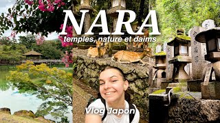 Une Journée à NARA 🦌 : (Temples, Parc de Nara, Château d’Osaka…) | VLOG JAPON 11