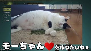 モーちゃんと一狩りいこうぜ！モンハンワイルズOBT①