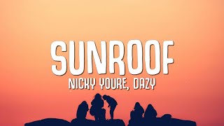Nicky Youre Dazy - Sunroof Lyrics I Got My Head Out The Sunroof