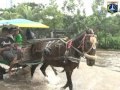 18 Jan 2014 Gub Jokowi mengunjungi warga korban banjir di Kelapa Gading