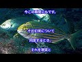 【衝撃】現実は幻であることが最新脳神経学で判明！「脳が現実を作り出すために幻覚をみせる」脳神経医 摩訶ちゃんねる