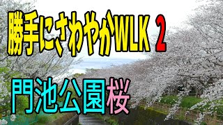 勝手にさわやかウオーキング2　JR御殿場線 下土狩駅発　鮎壺の滝から桜咲く門池公園へ