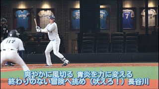 埼玉西武ライオンズ 長谷川信哉 応援歌【歌詞有り】ベルーナドーム