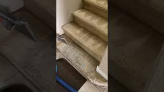 🔥Stairs carpet cleaning 💧tome una foto 🙁