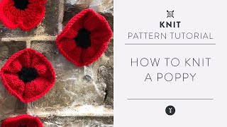 Easy Knit Poppy Pattern with Marly Bird | Beginner Tutorial