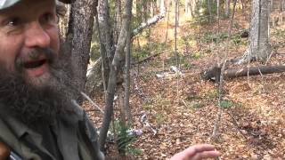 Tracking Tips from Lane Benoit! Master Deer Tracker & American Tracker TV