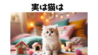 【猫の雑学】９割が知らない猫の雑学#猫#雑学#豆知識