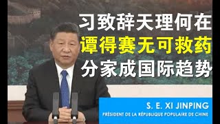 突发快评：习近平在世卫大会致辞这世界天理何在？川普不再犹豫彻底断供世卫、国际组织分家已成必然趋势！