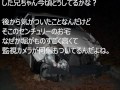 【スカッとする話】後ろの車に煽られた！⇒路駐を急ハンドルで回避したところ…【車編】