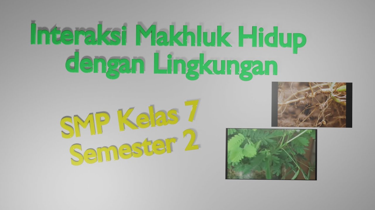 Soal Ipa Kelas 7 Materi Interaksi Makhluk Hidup Dengan Lingkungan ...