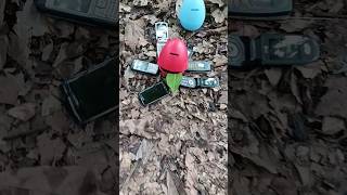 Finding eggs and snails and cell phone #egg #eggs #snail #snails