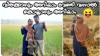 Harvesting Rice Field /നെല്ല് കൊയ്യാൻ ആളില്ലേ, സ്വന്തമായി ചെയ്യാം/ Part 2/A Paddy field Experience