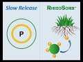 RhizoSorb Training Video Final