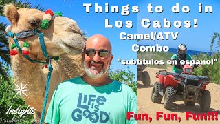 Things to do in Los Cabos - Camel and ATV Adventure Los Cabos Mexico