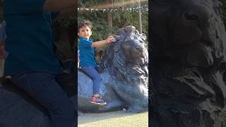 Musa Tour Karachi Zoo ♥️  Karachi Garden #shorts #tiktok #shortsfeed #lion #viralmoment #viralvideos