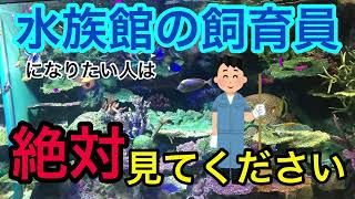 【夢】水族館の飼育員のなり方は？メリットは？全部解説します！！