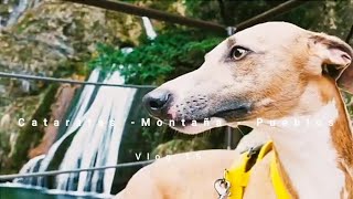 Vacaciones en un lugar inolvidable ⛰️🌲❤️vlog 15 √#cataratas #sierra #bosque #whippets  #mallorca