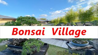 You Should Visit Bonsai Village in Saitama