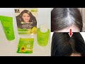 Garnier hair colour naturals how to use | Garnier colour naturals | How to mix garnier hair colour